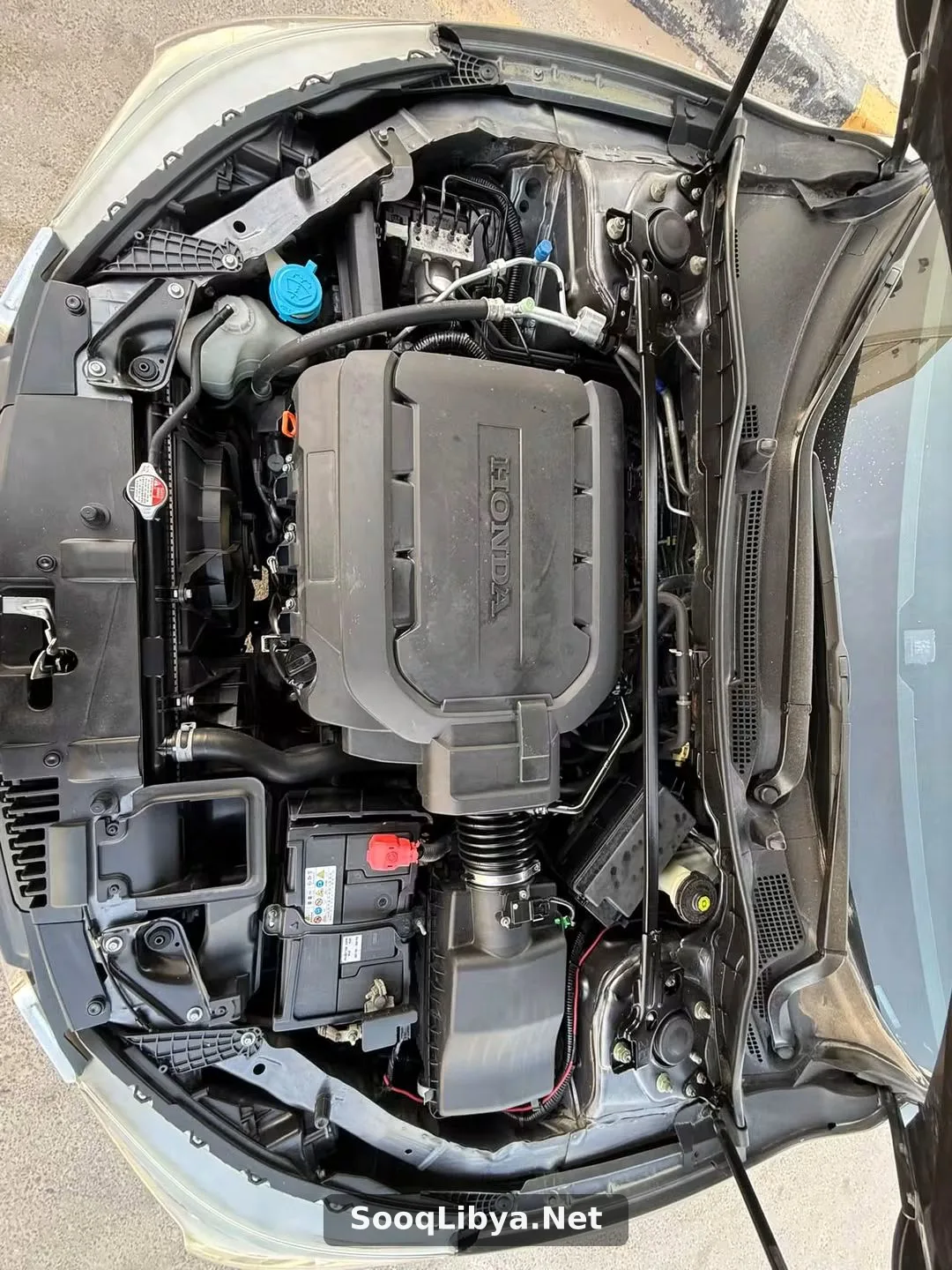 النوع HONDA الفئه ACCORD - الصورة 4 من 8