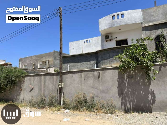فيله للبيع - الصورة 4 من 10
